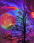 Colorful Galaxy & Barren Trees
